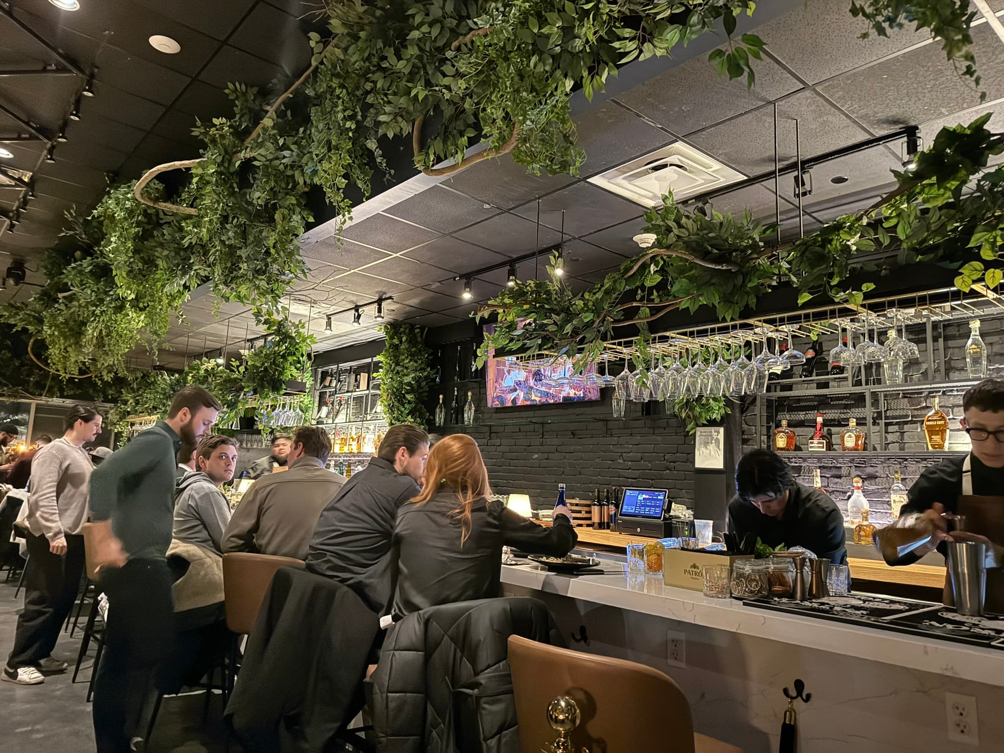 The Lola: The Lola's bar and greenery in service