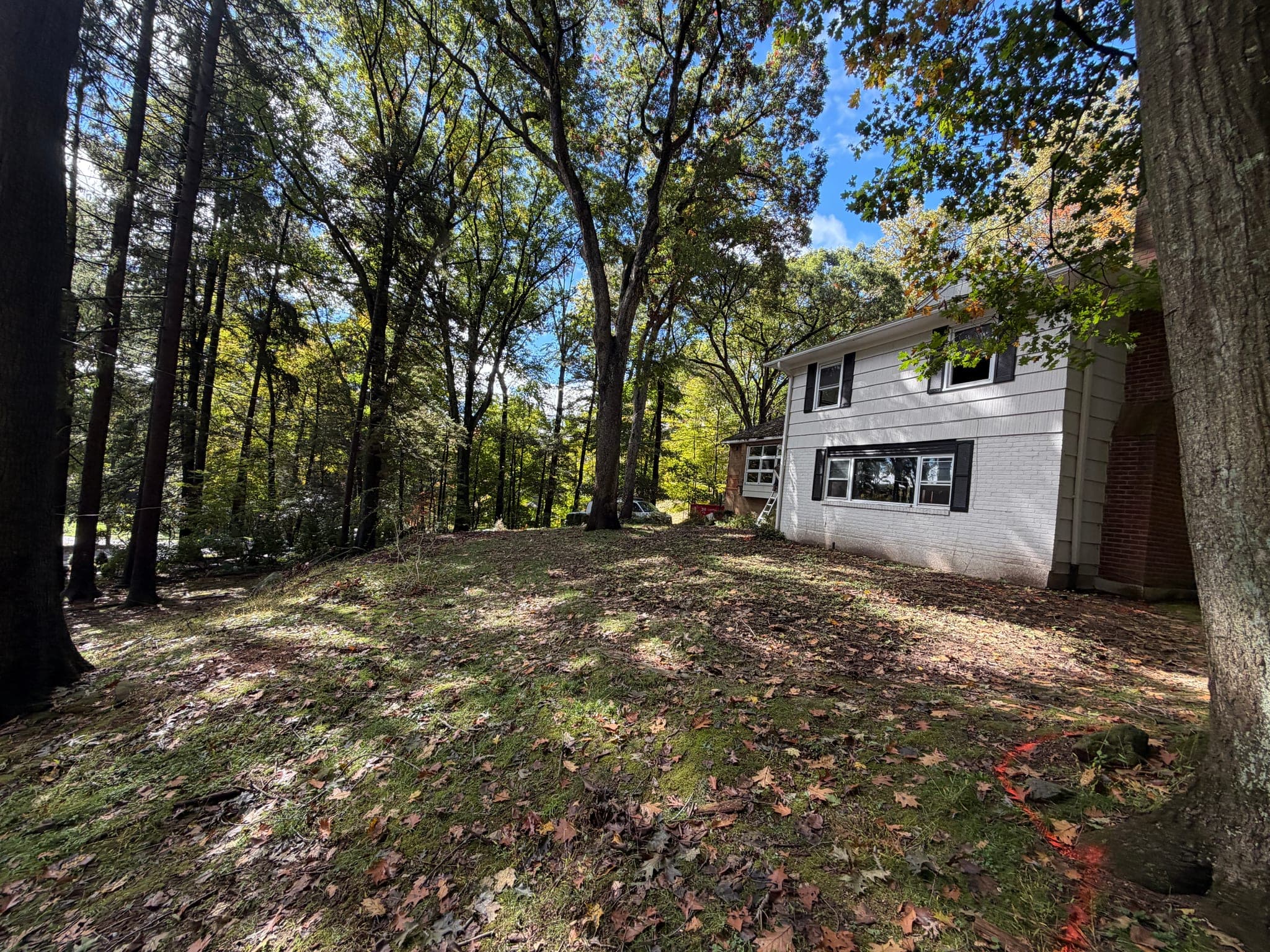 65 Windmill Road: The house among mature trees on its sloping lot